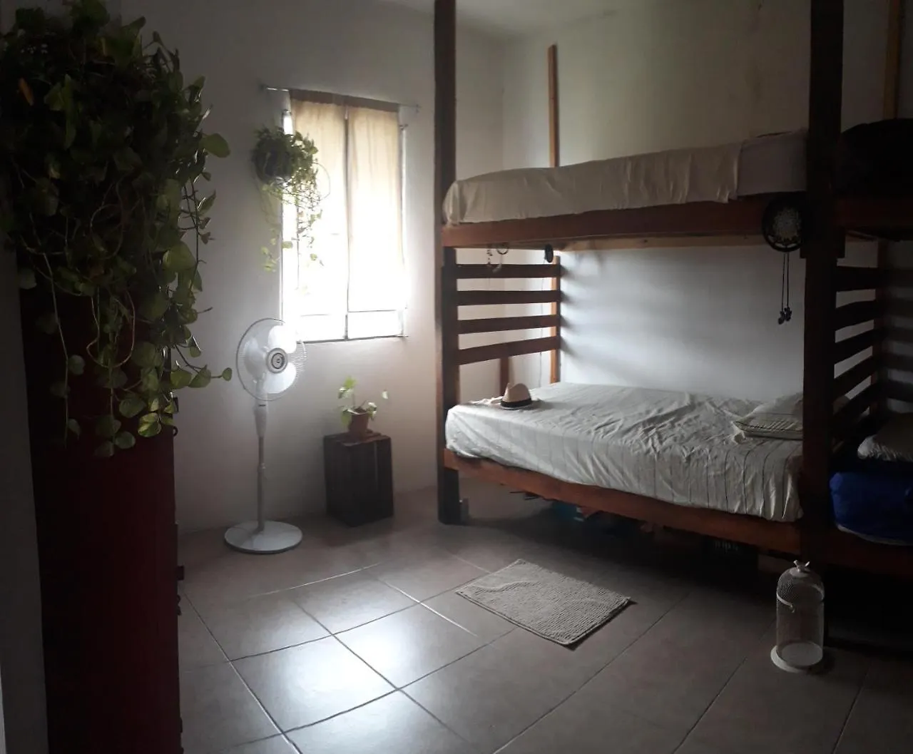 Hostel Tikun-Ha