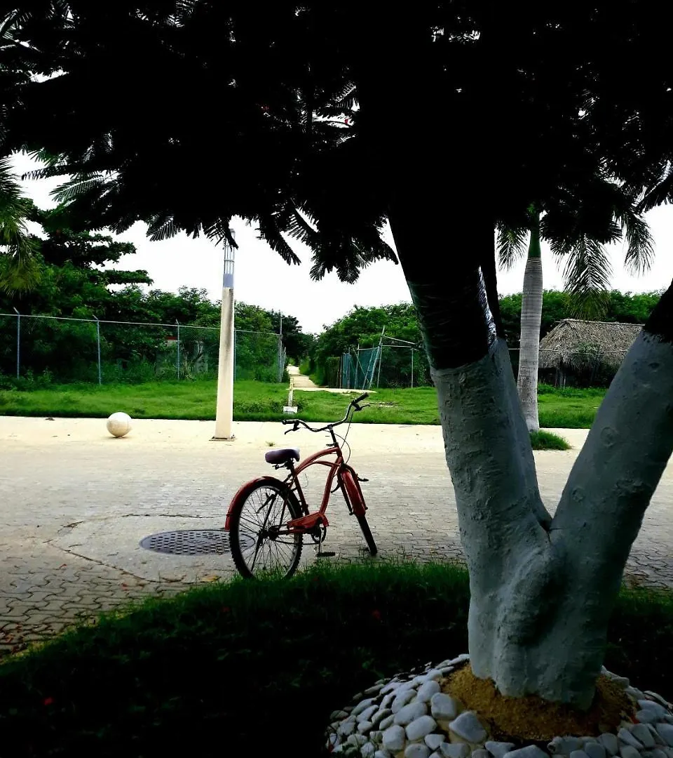 Hostel Tikun-Ha